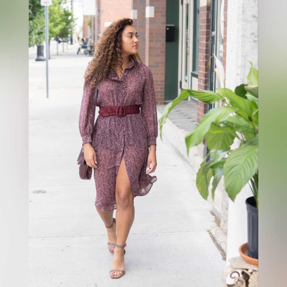 Sheer button down dress